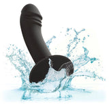 CALEXOTICS - STUD ANAL COURB?