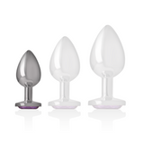 INTENSE - PLUG ANAL EN MÉTAL ALUMINIUM AVEC CRISTAL VIOLET TAILLE S