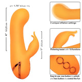 CALEXOTICS - MONTECITO MUSE VIBRATEUR LAPIN ORANGE PAR CALIFORNIA DREAMING